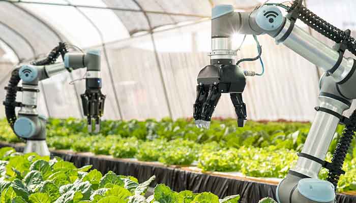 从田间到未来：全球启示助力农业自动化转型